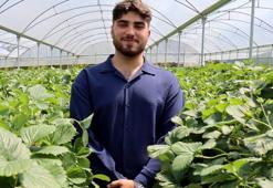 Yapay zeka ile çilek hasadı! 21 yaşındaki genç ihracata başladı