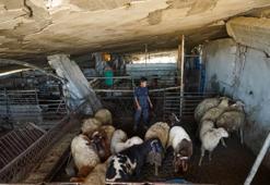 Kurban Bayramı öncesi en durgun sezon! Gazze'de kıtlık büyüyor