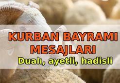 'HAYIRLI BAYRAMLAR' KURBAN BAYRAMI MESAJLARI 2026 🚩 En güzel, anlamlı, dualı, ayetli, kısa, uzun Kurban Bayramı mesajları ve sözleri