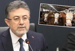 Bakan Yumaklı duyurdu! Kalan kurbanlıkları Et ve Süt Kurumu alacak