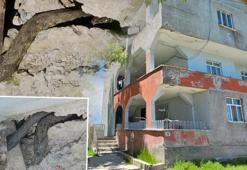 Boyları tam 3 metre! Yılanlar tüm evi sardı, aile çaresiz: Geceleri uyuyamıyoruz
