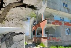 Boyları tam 3 metre! Yılanlar tüm evi sardı, aile çaresiz: Geceleri uyuyamıyoruz