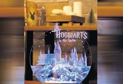Warner Bros’un taklit ‘Harry Potter’ zaferi
