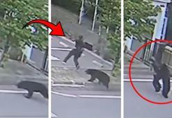 Japonya'da ayı kabusu eğitime ara verdirdi! Polisten OHAL açıklaması: Yaralılar var