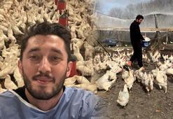 Hastane müdürlüğünden yumurta yetiştiriciliğine! ‘Burada tansiyon ilaçlarımı bile bıraktım’