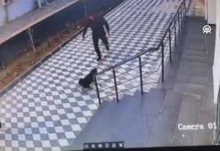 Adana'da köpeğin bir kişiye saldırması güvenlik kamerasında
