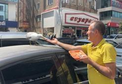 Gebze'de esnafın beslediği martı 'Pamuk' mahallenin maskotu oldu! Her gün aynı saatte geliyor