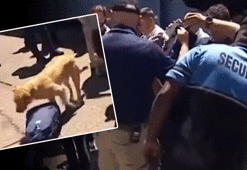 Senegal ve Özbekistan milli takımlarına ABD'de şok! Polis köpekleri ile arama
