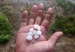 Üreticinin emeğini dolu vurdu! 25 dakikalık yağış Eber kirazına büyük hasar verdi