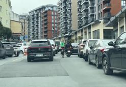 İstanbul'da dehşete düşüren görüntü! Motosiklete bağladığı köpeği metrelerce koşturdu