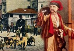Osmanlı'da kedi beslemek bir meslekti! Avrupa'nın hayran kaldığı 'Mancacılar'ın öyküsü