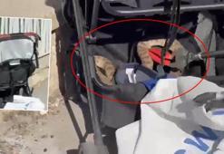 Şanlıurfa'da ağaçtan bebek arabasına düşen yılan panik yarattı