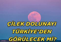 GÖKYÜZÜ ŞÖLENİ: 2026 Çilek Dolunayı ne zaman, saat kaçta gerçekleşecek? Çilek Dolunayı Türkiye’den izlenebilecek mi?
