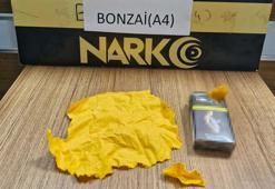 Manisa kula'da binlerce içimlik bonzai ele geçirildi! 6 kişi tutuklandı
