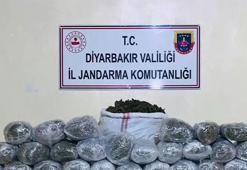 Diyarbakır'da dev uyuşturucu operasyonu! Çok sayıda gözaltı var