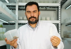 Çocukluk merakı bilimsel başarıya dönüştü! Diş otu bitkisinden kırışıklık karşıtı krem geliştirdi