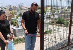 Mezarın etrafını çitle çevirip kapı taktılar! Nedeni akıl alır gibi değil