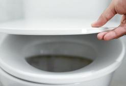 Yılan, fare, örümcek fark etmiyor! Klozetten eve giriyor, sifonu çekerek uzaklaştırmayın