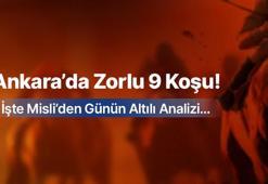 Ankara'da zorlu 9 koşu! İşte Misli'den günün altılı analizi...