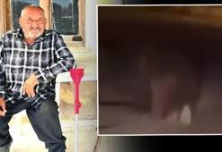 Evinin balkonunda uyurken ayının saldırısına uğrayan kişi öldü