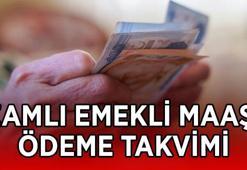 YENİ ZAMLI EMEKLİ MAAŞI GÜN GÜN ÖDEME TARİHLERİ 2026 TEMMUZ: Zamlı emekli maaşı ne zaman, hangi gün yatacak, bu ay (Temmuzda) ödenir mi?