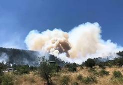 Balıkesir'de orman yangını! Alevler rüzgarın etkisiyle hızla yayıldı