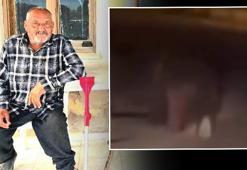 İzmir'de balkonda uyuyan yaşlı adamı sürükleyerek öldürmüştü! Saldırgan ayı 5 gün sonra vuruldu