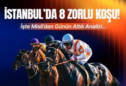 İstanbul'da 8 zorlu koşu! İşte Misli'den günün altılı analizi...