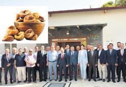 Kuru incirde büyük buluşma