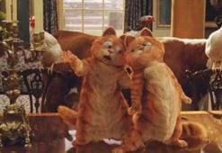 Garfield 2: İki Kedinin Hikayesi filmi konusu ve oyuncu kadrosu! Garfield 2: İki Kedini Hikayesi filmi kaç yılında çekildi? İşte seslendiren isimler...