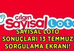 SAYISAL LOTO SONUÇLARI KAZANDIRAN TALİHLİ NUMARALARI SORGULAMA! 13 Temmuz 2026 Çılgın Sayısal Loto çekiliş sonuçları açıklandı! Sayısal Loto büyük ikramiye sonuçları nasıl öğrenilir?