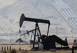 Kritik petrol uyarısı: 1973'teki krizden daha büyük, tamponlar tükendi
