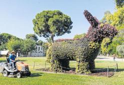 Kültürpark’a sukulent makyajı