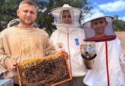 2 kovanla başladı! Yılda 1 ton bal üretiyor
