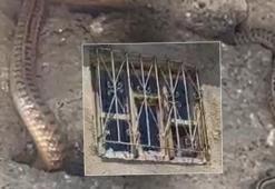 Görülmemiş istila! Çatıdaki kuş deliklerine kadar sızdılar: Hayatımız altüst oldu