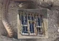 Görülmemiş istila! Çatıdaki kuş deliklerine kadar sızdılar: Hayatımız altüst oldu