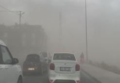 Meteoroloji uyarmıştı! İstanbul'da fırtına etkili oldu, ağaçlar devrildi