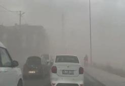 Meteoroloji uyarmıştı! İstanbul'da fırtına etkili oldu, ağaçlar devrildi