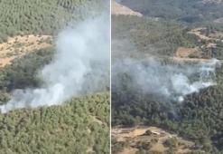 Balıkesir'deki orman yangını kontrol altında