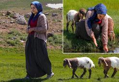 3 bin 300 rakımlı yaylada sıra dışı dostluk: Nereye gitsem benim peşimde