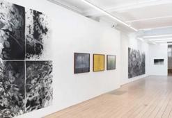Gary Sangster’ın küratörlüğünde gerçekleşen “Botanicals” grup sergisi, VISION ART PLATFORM Londra’da!