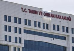 TARIM VE ORMAN BAKANLIĞI PERSONEL ALIMI BAŞVURU SAYFASI: 1.851 sözleşmeli personel alımı başvuru şartları neler, başvuru nasıl, nereden yapılır?