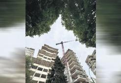İnşaat istihdamında mayıs rekoru geldi