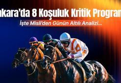 Ankara'da 8 koşuluk program! İşte Misli'den günün altılı analizi...