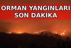 ORMAN YANGINLARI SON DAKİKA GELİŞMELERİ📍 Orman yangını hangi illerde devam ediyor? Hangi illerde söndürüldü? Alanya, Altınoluk, Ayvacık, Fethiye yangın son dakika gelişmeleri