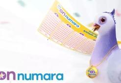 ON NUMARA SONUÇLARI 31 TEMMUZ 2026 AÇIKLANDI! Haftanın son On Numara çekilişi sonuçları sorgulama ekranı