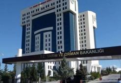 TARIM VE ORMAN BAKANLIĞI PERSONEL ALIMI BAŞVURU EKRANI: 2026 Tarım ve Orman Bakanlığı personel alımı ne zaman, şartlar neler? Başvuru sonuçları ne zaman belli olacak?