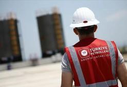 TPAO'nun küresel enerji hamlesi hız kazandı