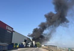 Kocaeli'de yangın! Geri dönüşüm deposunda alevlere teslim oldu