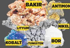 Kritik madenler için güçbirliği